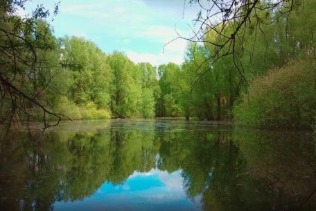 Unberührtes Luxemburg (38) / Stréissel: Ein Mosaik der Artenvielfalt an der Alzette