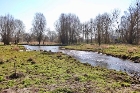 Unberührtes Luxemburg (39) / Teil 39: Dumontshaff, ein groß angelegtes ökologisches Aufwertungsprojekt