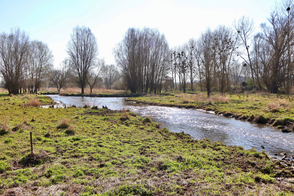 Unberührtes Luxemburg (39) / Teil 39: Dumontshaff, ein groß angelegtes ökologisches Aufwertungsprojekt