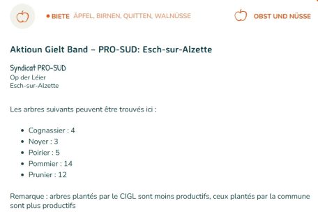So sieht ein Inserat der Webseite kierfchen.lu aus