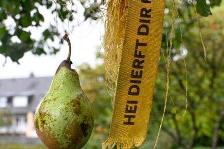 Diese Birne darf man kostenfrei mit nach Hause nehmen
