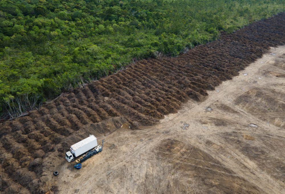 Editorial / Das Abkommen zwischen EU und Mercosur bietet mehr Chancen als Risiken