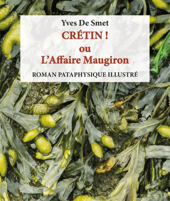 Critique du livre „Crétin! ou L’Affaire Maugiron“ / L’auteur Yves De Smet passe par un „crétin“ pour une élévation du dérisoire