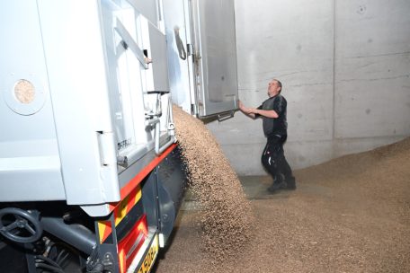 Ordentliche Getreidelieferung