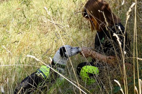 Sally hat soeben Hannah im Gras entdeckt und bekommt zur Belohnung Leberwurst aus der Tube