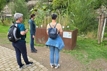 Geführte Tour / Urban Gardening und historische Stadtviertel entdecken