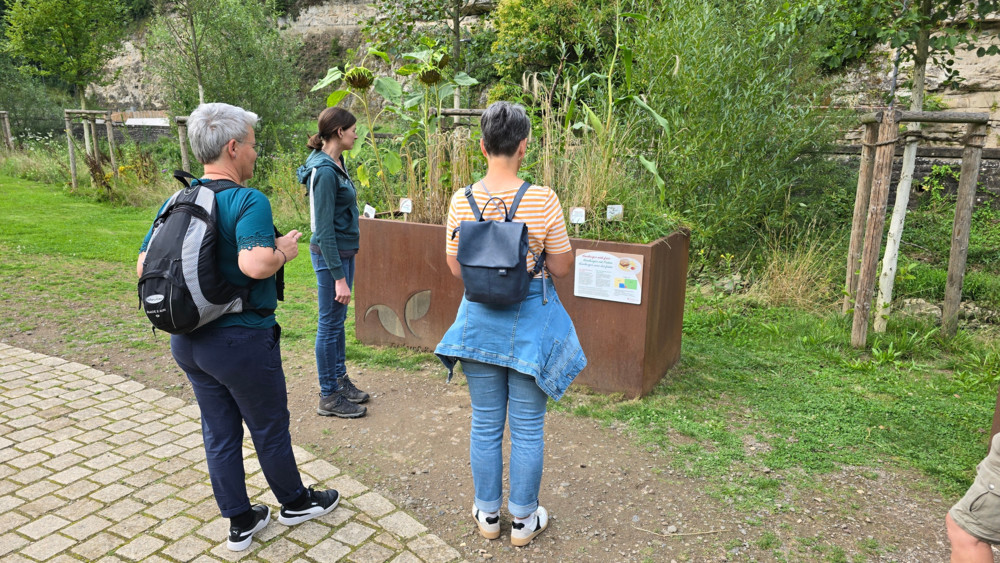 Geführte Tour / Urban Gardening und historische Stadtviertel entdecken