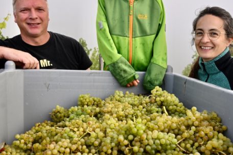 Tatkräftige Helfer mit viel Fachwissen: Joël, Théo und Corinne