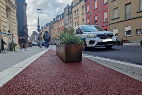 Esch / Blumenkübel als absichtliches (Radweg-)Hindernis: Was es laut Stadt damit auf sich hat(te)