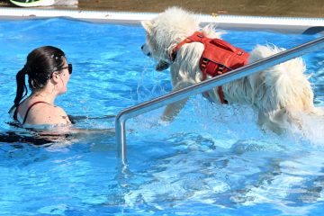 Muppeschwammen in Düdelingen / Auch Hunde haben ein Recht auf Wasserspaß