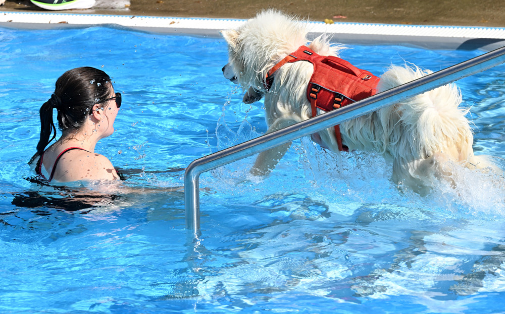 Muppeschwammen in Düdelingen / Auch Hunde haben ein Recht auf Wasserspaß