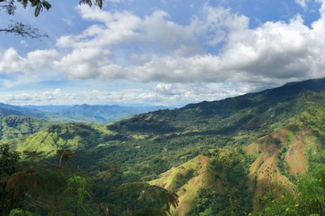 Blick auf die Natur in der Provinz „Eastern Highlands“