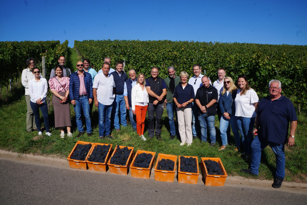 Fiederwäissen a Feierstengszalot / Weinbauministerin Hansen zu Besuch bei der Weinlese in Ehnen