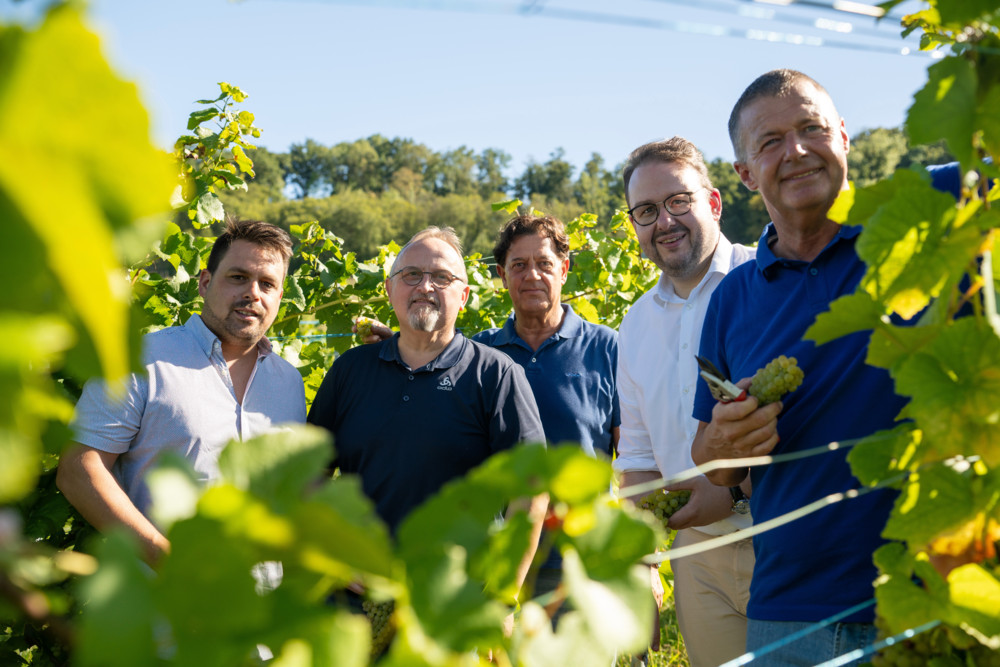 Zwei Gemeinden, ein Wein / Esch und Schengen machen Pinot Blanc