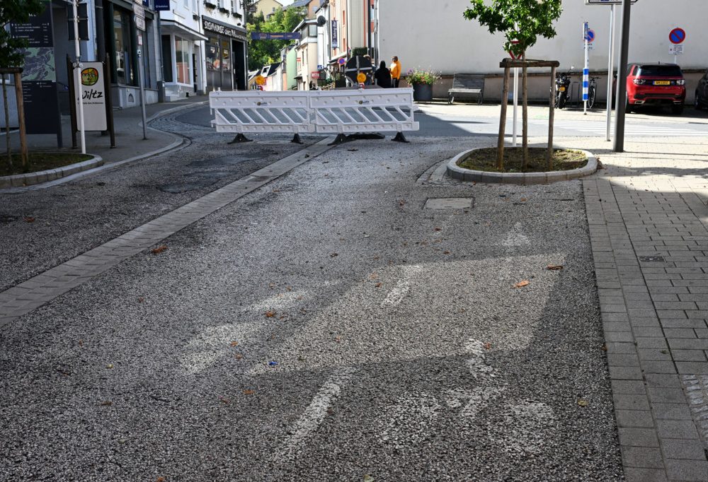 Abruptes Ende / In Wiltz führt ein Radweg direkt in einen Baum – die Gemeinde räumt Irrtum ein