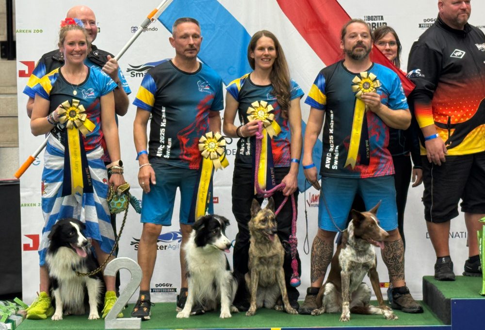 Agility-WM in Schweden / Historischer Erfolg für Team Luxemburg