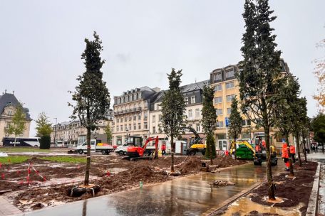 Luxemburg-Stadt / Wieder etwas grüner: 18 Linden werden am „Rousegäertchen“ gepflanzt