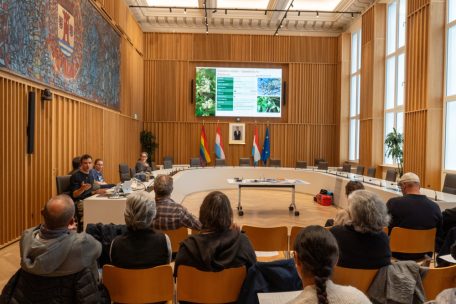 Esch / So unterstützt die Gemeinde Bürger bei der Fassadenbegrünung