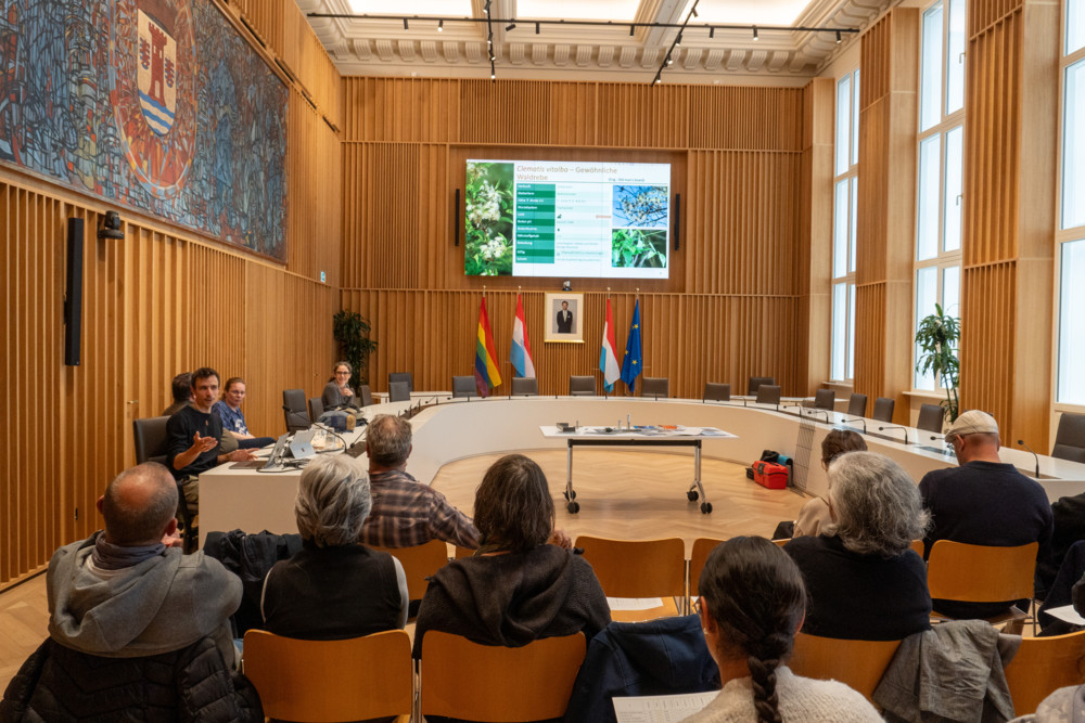 Esch / So unterstützt die Gemeinde Bürger bei der Fassadenbegrünung