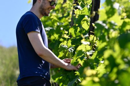 Leiter der Lokalredaktion: Cédric Feyereisen