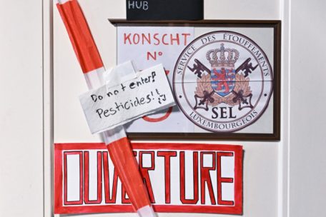 Die Tür bleibt zu: Richtung22 wurde nicht zu den Feierlichkeiten zum Thronwechsel eingeladen