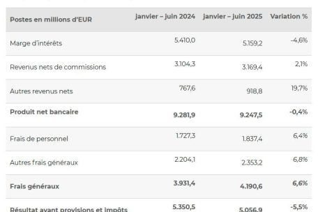 Die zusammengerechnete Gewinn- und Verlustrechnung der 118 Luxemburger Banken