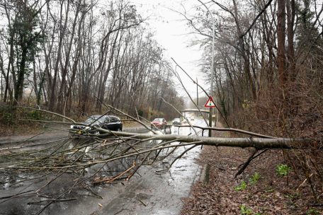Verkehrseinschränkungen / Umgestürzte Bäume und Äste blockieren mehrere Straßen in Luxemburg
