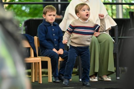 Bildergalerie / Zwei kleine Prinzen begeistern das Land: So erlebten Charles und François den Thronwechsel