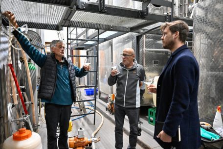 Domaine Tageblatt / Kostprobe unseres Rivaners: Wie schmeckt Wein einen Monat nach der Lese?