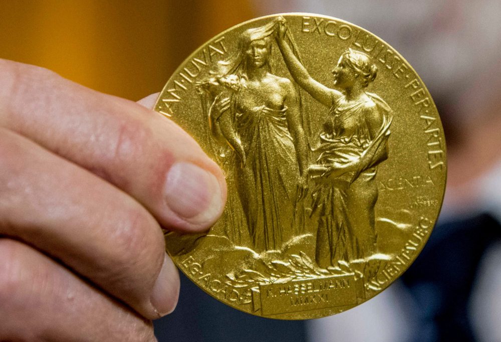  „Metall-organisches“ Framework / Chemie-Nobelpreis geht an drei Materialforscher
