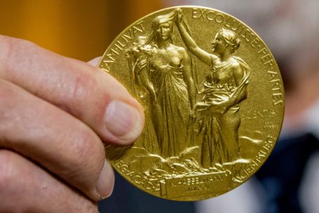  „Metall-organisches“ Framework / Chemie-Nobelpreis geht an drei Materialforscher