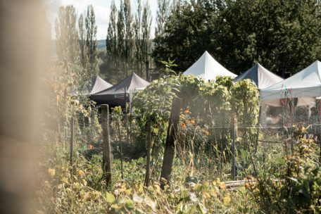 Auf dem Matgesfeld wird Nachhaltigkeit greifbar &ndash; zwischen Marktst&auml;nden, Musik und Werkb&auml;nken