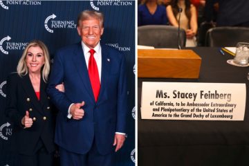 Stacey Feinberg / Neue US-Botschafterin in Luxemburg: US-Senat gibt grünes Licht