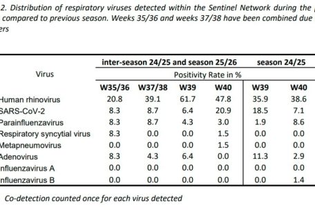 Verteilung der in den vergangenen sechs Wochen nachgewiesenen Atemwegsviren im Vergleich zur vorangegangenen Saison. Die Wochen 35/36 und 37/38 wurden aufgrund geringer Zahlen zusammengefasst.