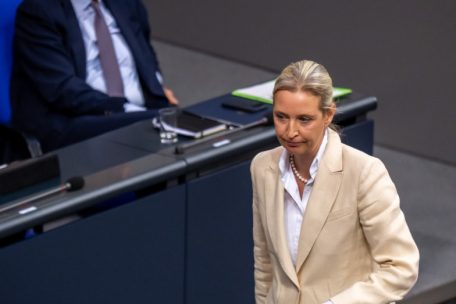 Deutschland / Merz will das Problem AfD lösen – bevor es die CDU zerreißt