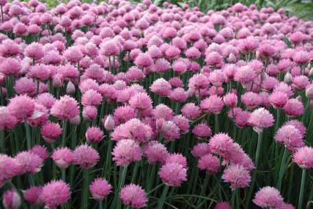 Etwas für die Sinne