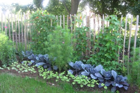 Gemüsegärten erinnern an früher