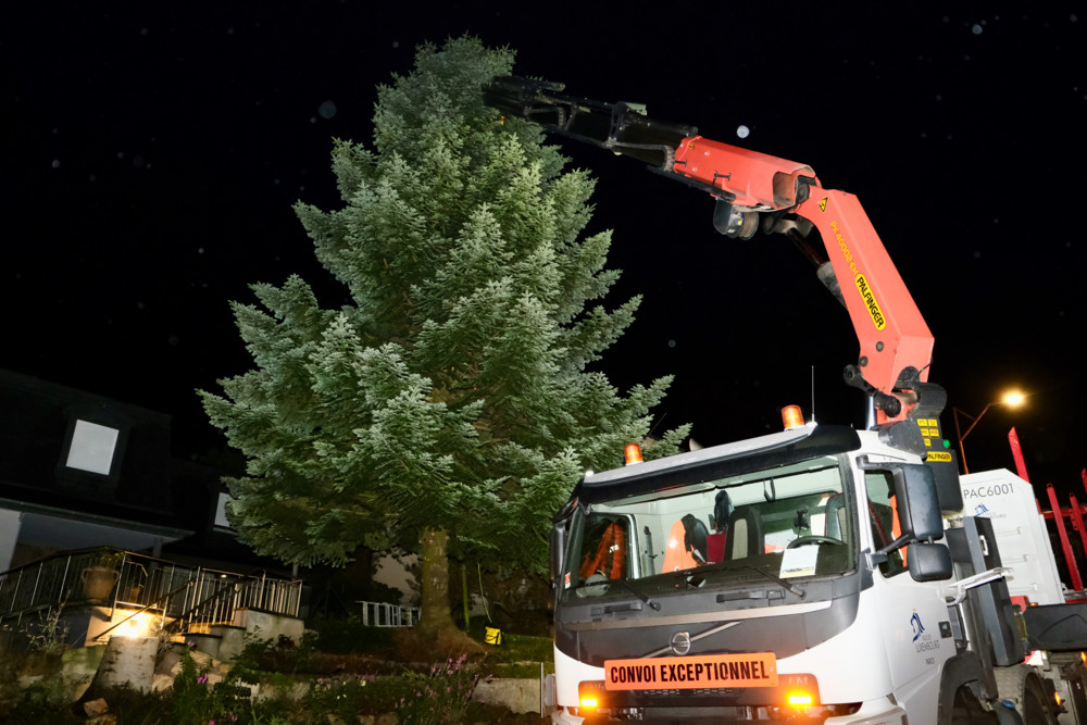 Schwerelos über Schifflingen  / Die präzise Choreografie hinter dem schönsten Weihnachtsbaum für Luxemburg-Stadt