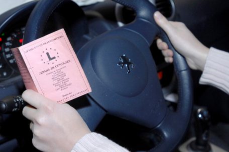 Luxemburg / Rosa Führerschein bleibt bis 2033 gültig