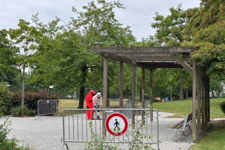 Asiatische Hornisse / Naturverwaltung hat dieses Jahr 175 Nester entfernt – mit nur einer Person