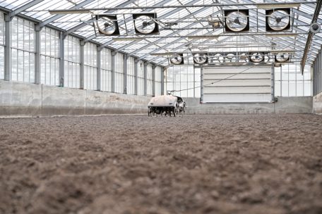 Der Klärschlamm wird getrocknet und bei der Zementfabrik Cimalux als Brennstoff eingesetzt
