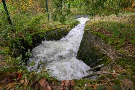 Aktuell verlassen rund 500 Liter geklärtes Wasser pro Sekunde die Anlage. Nach zwei Kilometern landet das Wasser in der Alzette.