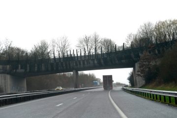 „Absurde Situation“ / BIGS und Mouveco kritisieren geplante Wildbrücke über die A13