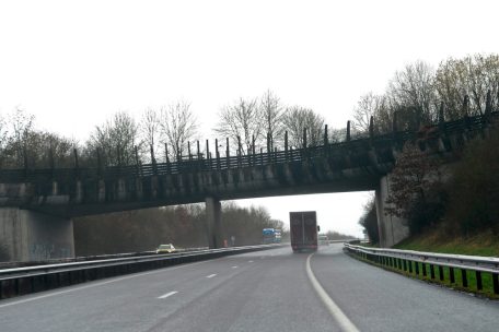 „Absurde Situation“ / BIGS und Méco kritisieren geplante Wildbrücke über die A13