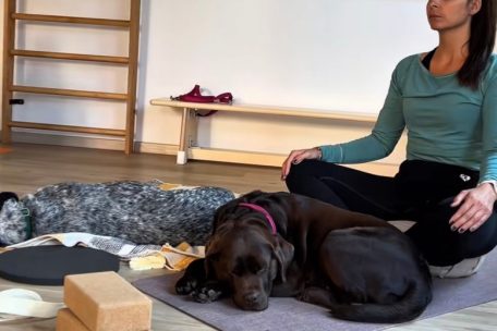 Wenn der Nachbar im Yogakurs ein Vierbeiner ist