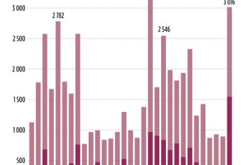 Ostafrika / Überblick über die in- und ausländischen Akteure im Sudan-Konflikt