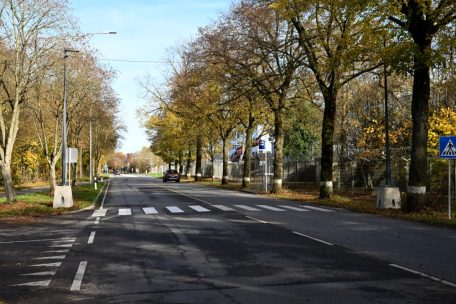 Kommentar / Verkehrs(un)sicherheit bei der Winteraktion: Warten, bis es wehtut