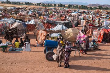EU-Parlament / Vertretern aus dem Sudan berichten über die schwerste humanitäre Krise der Welt 
