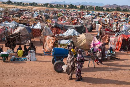 EU-Parlament / Vertreter aus dem Sudan berichten über die schwerste humanitäre Krise der Welt 