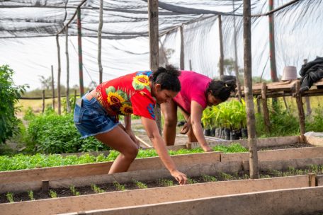Agroökologischer Gartenbau im Quilombo do Rosário